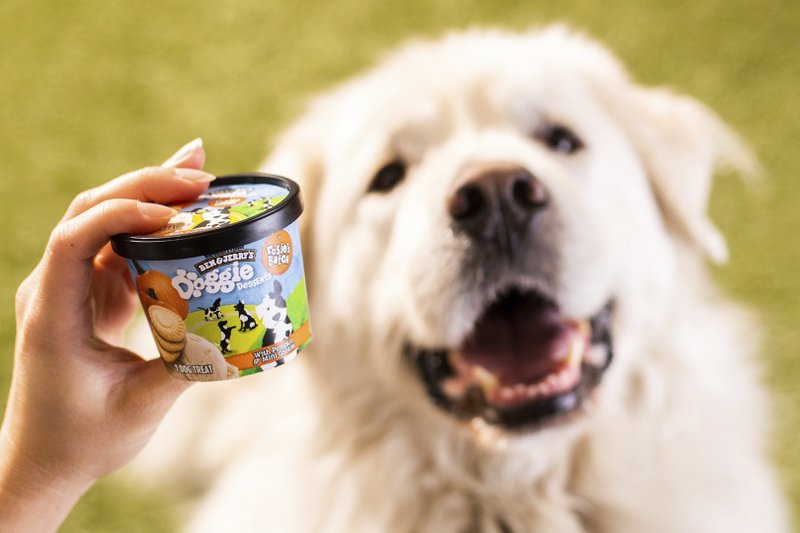 Ben & Jerry’s enters the pet food business